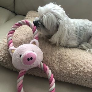 Pig squeaky toy for dogs